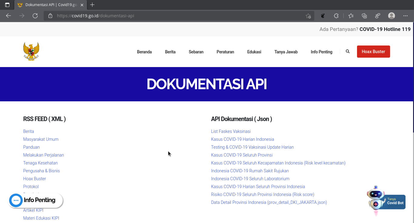 Tampilan website Covid-19 API